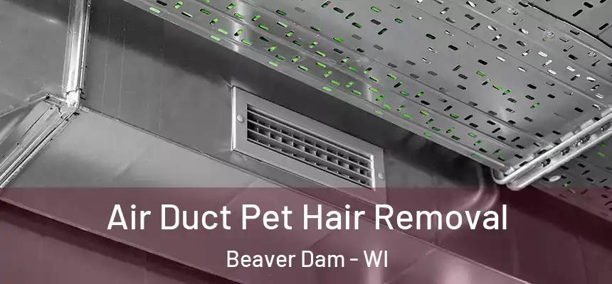  Air Duct Pet Hair Removal Beaver Dam - WI