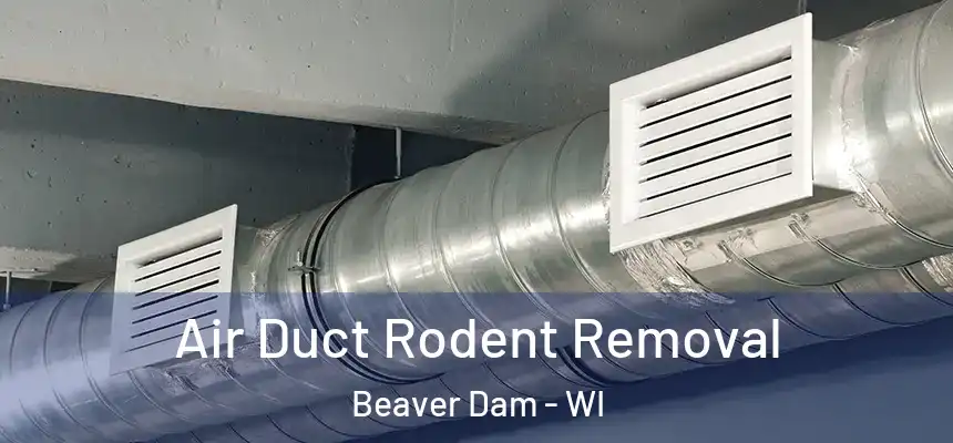  Air Duct Rodent Removal Beaver Dam - WI