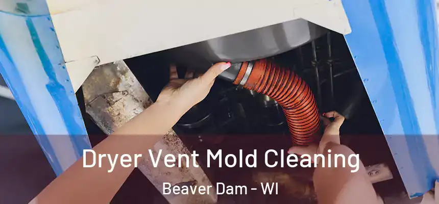  Dryer Vent Mold Cleaning Beaver Dam - WI