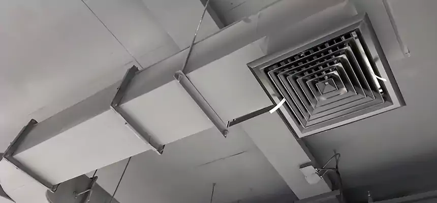 Restorative Allergy Relief Vent Cleaning – Coil, Blower & Housing Detail in Beaver Dam