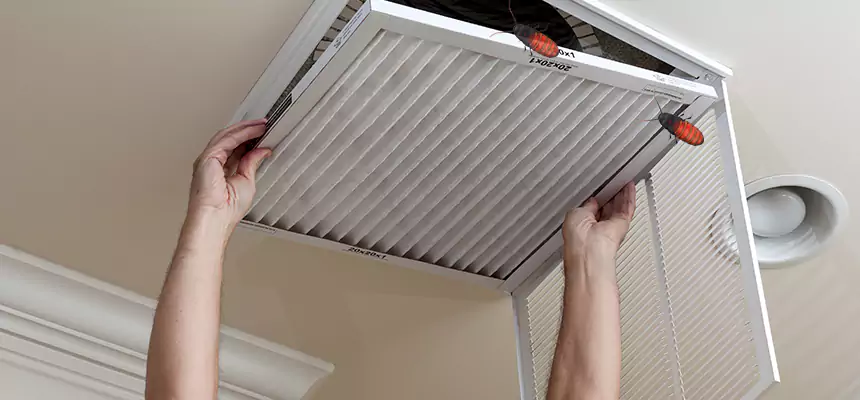 Our Insect Removal from Air Ducts Services in Beaver Dam, WI