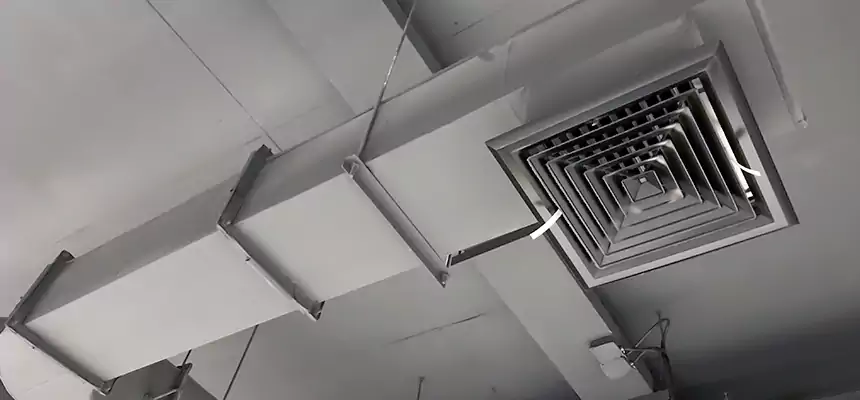 Our Pest Removal From Ducts Services in Beaver Dam, WI