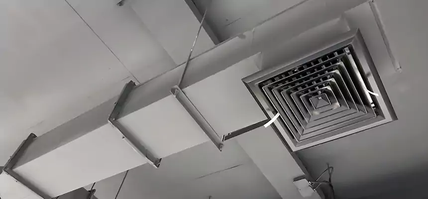 Our Rodent Droppings In Vents Services in Beaver Dam, WI