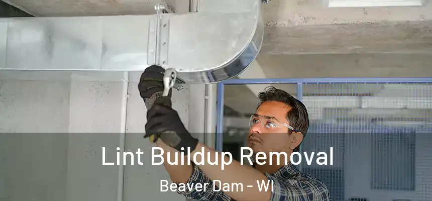  Lint Buildup Removal Beaver Dam - WI