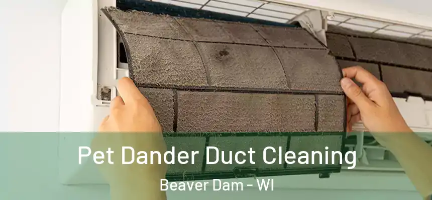  Pet Dander Duct Cleaning Beaver Dam - WI