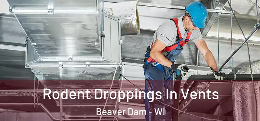  Rodent Droppings In Vents Beaver Dam - WI