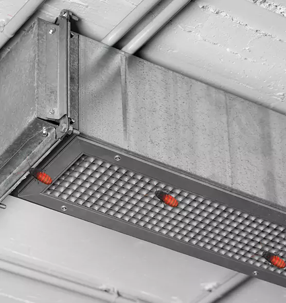 About Air Duct Cockroach Removal in Beaver Dam, WI