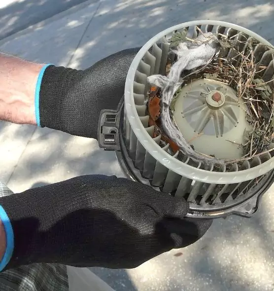 About Air Duct Mice Removal in Beaver Dam, WI