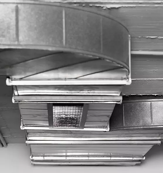 Professional Air Duct Pest Removal in Beaver Dam, WI