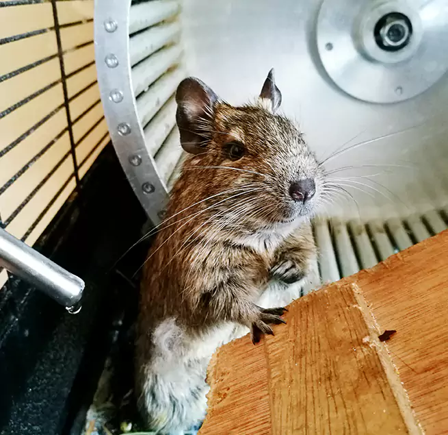 Why Homeowners & Businesses Trust Us Beaver Dam, WI?