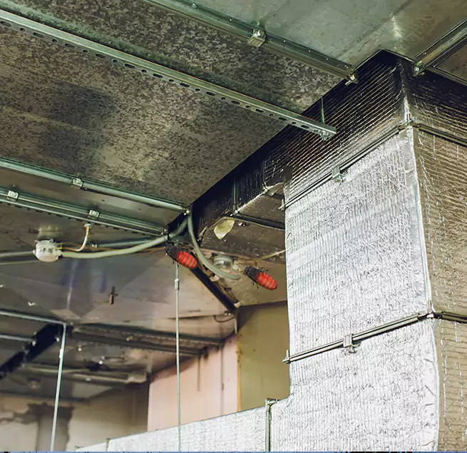 Why Homeowners & Businesses Trust Us Beaver Dam, WI?